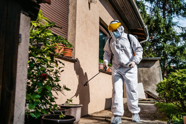 Professional Pest Control in Hagan, GA