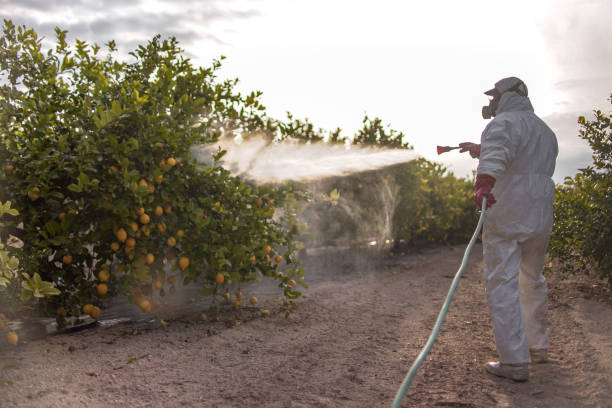 Best Emergency Pest Control  in Han, GA