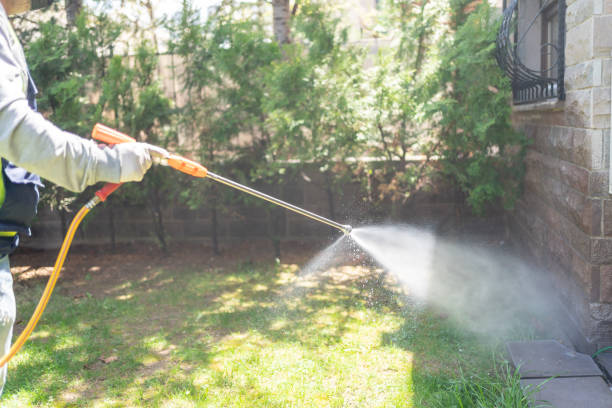 Best Termite Control Services  in Han, GA