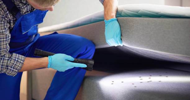 Best Rat Extermination Near Me  in Han, GA