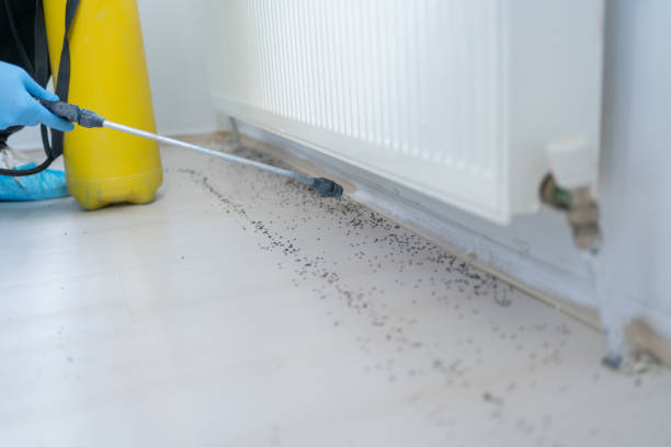Professional Pest Control in Hagan, GA