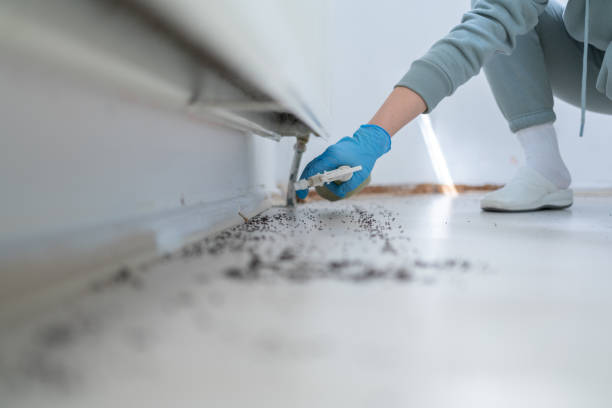 Pest Control Cost in Hagan, GA