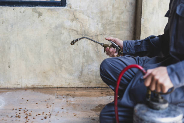 Best Best Pest Control Companies  in Han, GA