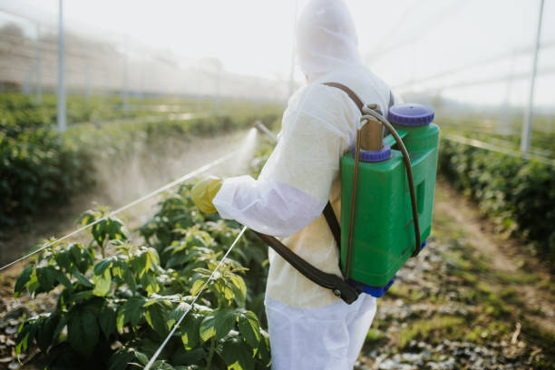 Best Pest Control for Businesses  in Han, GA